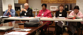 The steering committe in meeting (Click to enlarge)